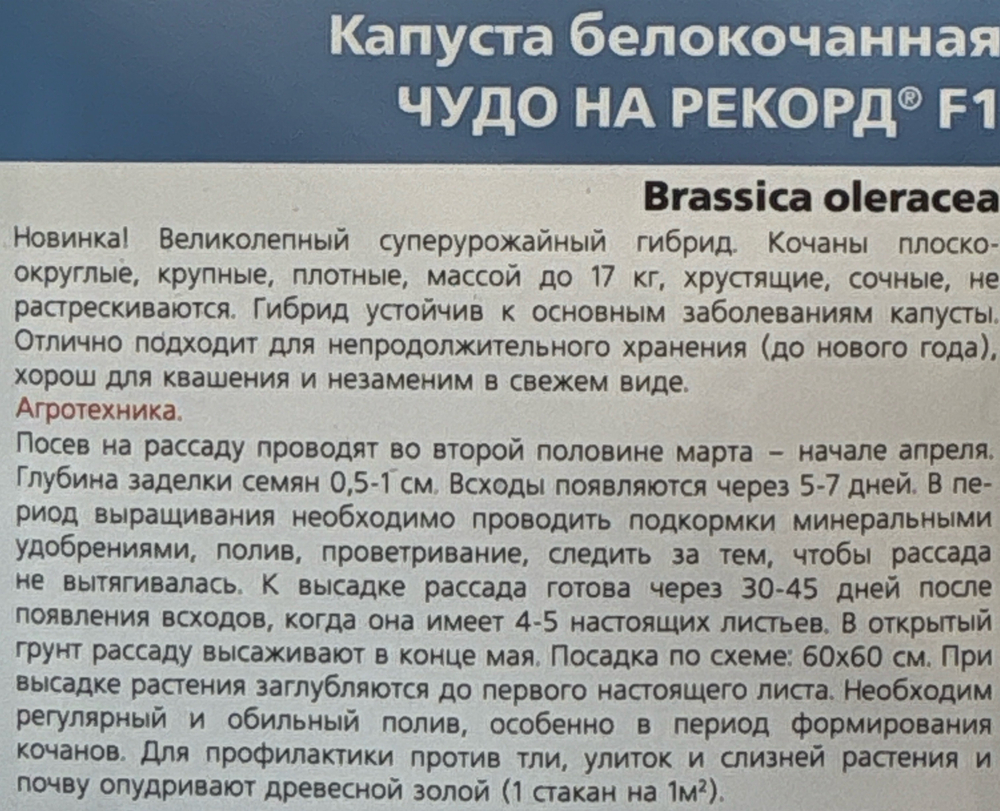 Капуста Чудо на рекорд F1 0,3 г СМК52