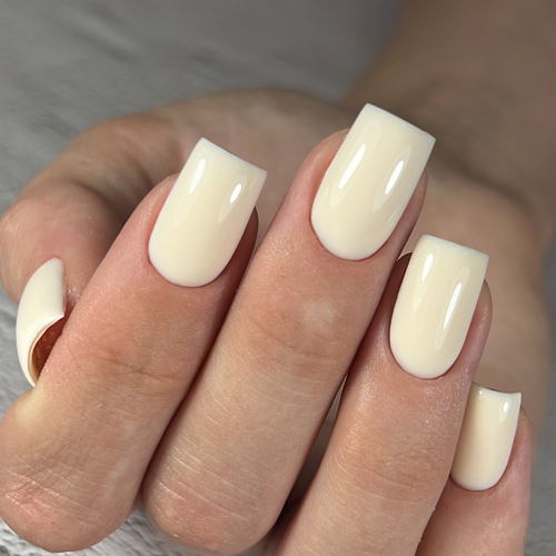 BSG Confiture Жёсткий гель №04, 13 гр