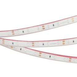 Светодиодная лента герметичная RTW-PFS-A60-11mm 12V Blue (4.8 W/m, IP68, 2835, 5m) (Arlight, -) 034012