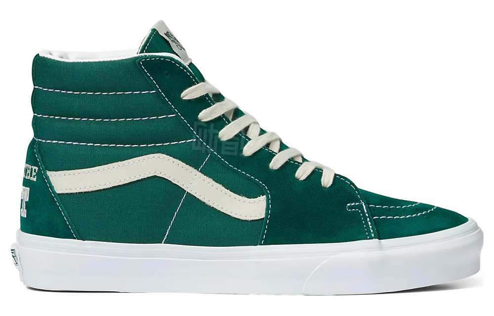 Vans Sk8 Team Wellness