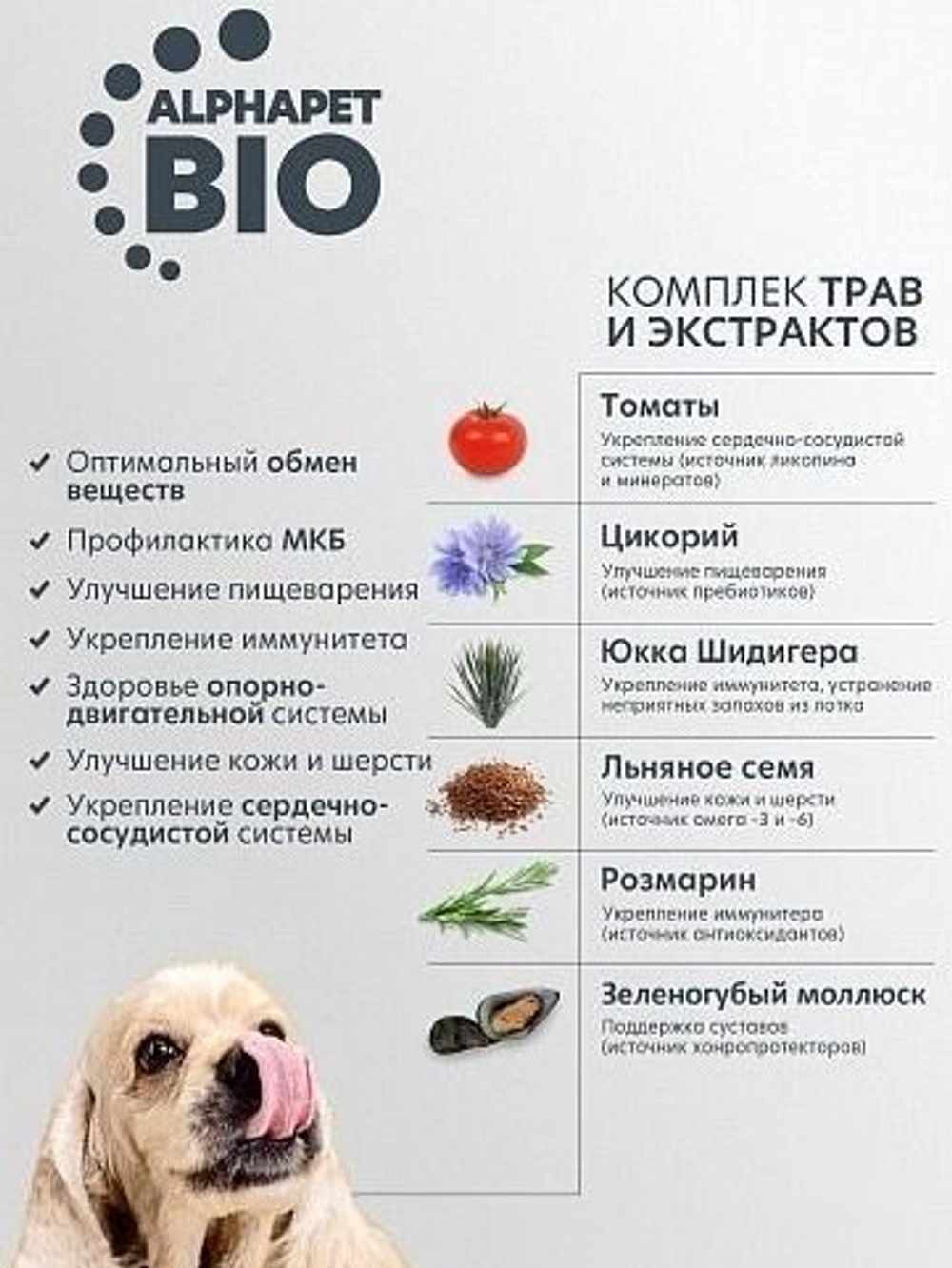 Сухой корм для собак премиум сухой AlphaPet Superpremium для животных мелких пород с чувствительным пищеварением, с ягненком и рисом, 3 кг