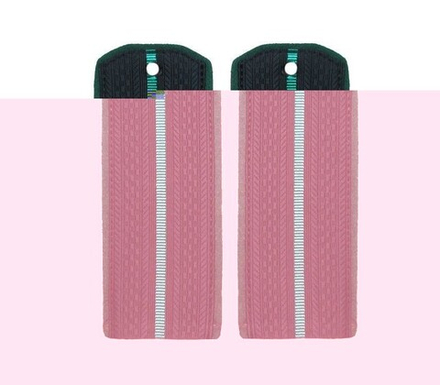 Погоны иссиня-черные с одним зеленым просветом (ПС ФСБ)