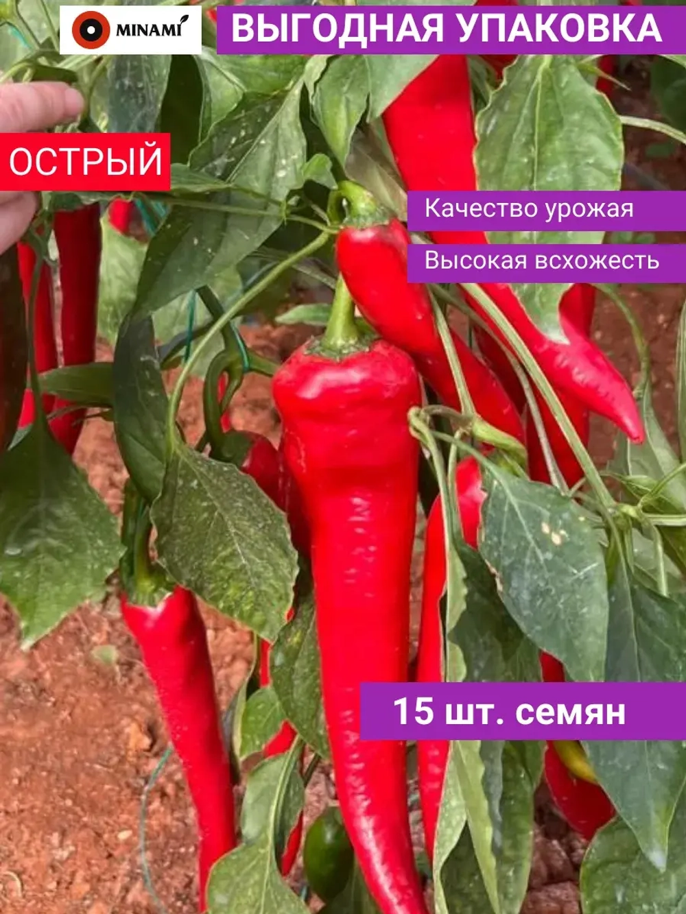 Перец острый Михас F1 15шт.