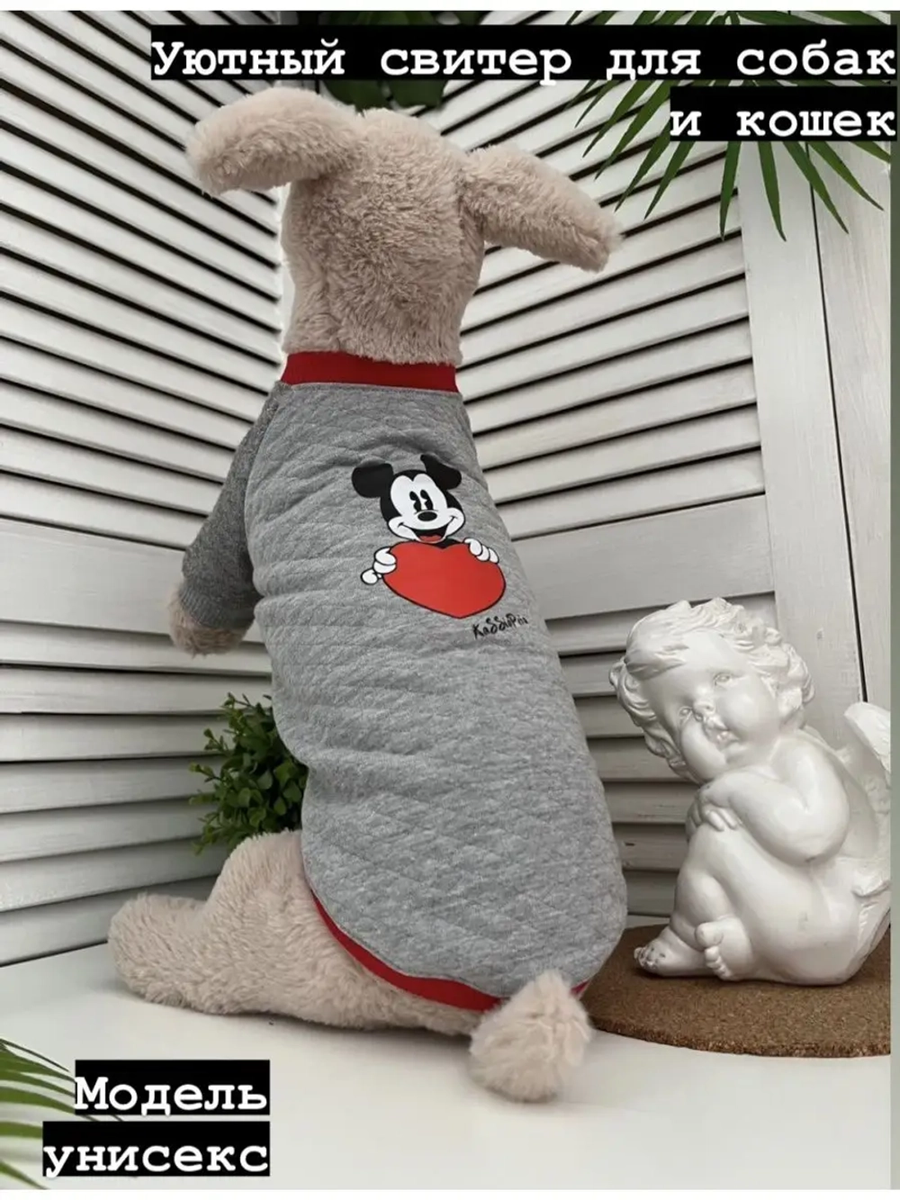 Толстовка для собак и кошек без капюшона