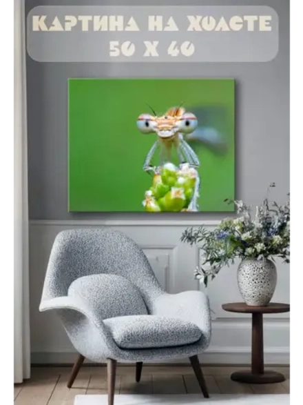 Картина на стену 40 X 50 Насекомое