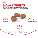 Royal Canin Mini Indoor Adult Мини Индор Эдалт Корм сухой для взрослых собак мелких пород в возрасте от 10 месяцев живущих в помещении 3кг