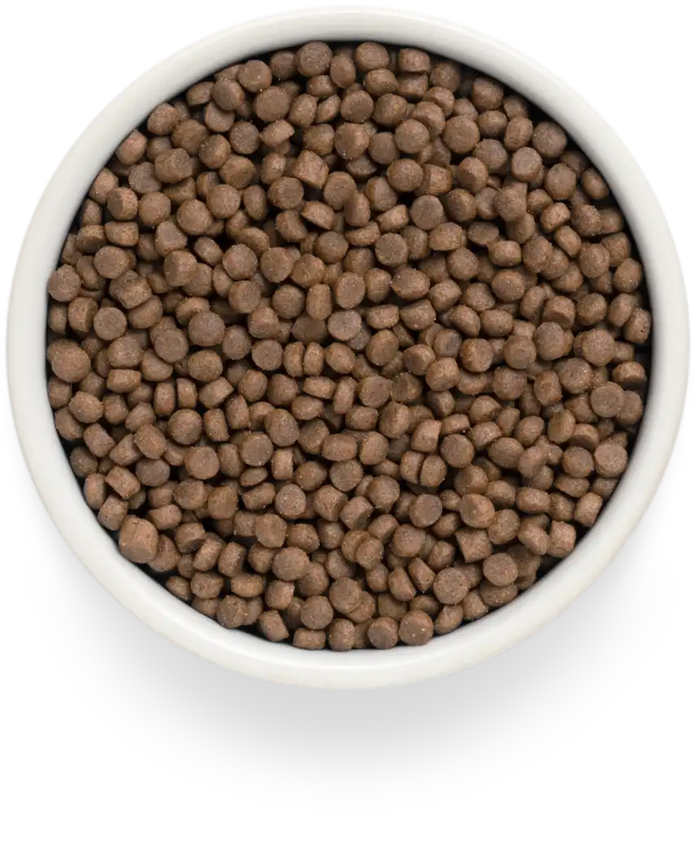 PREMIER Свежее мясо индейки для взрослых стерилизованных кошек