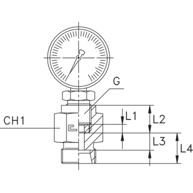 Штуцер DS12 BSP 1/2