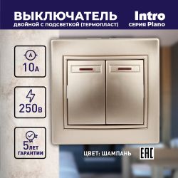 Выключатель Intro Plano 1-105-04 двухклавишный с подсветкой, 10А-250В, IP20, СУ, шампань