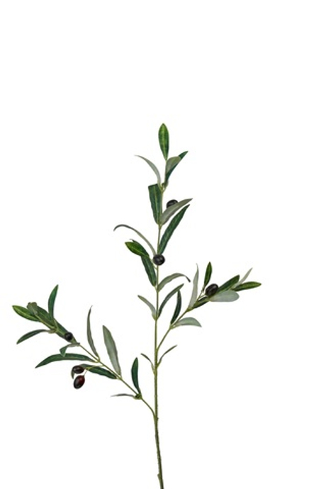 Ветка оливы с плодами средняя 76см