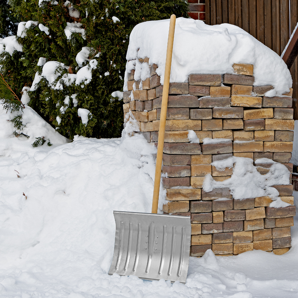 Лопата для уборки снега стальная оцинкованная, 430 х 370 х 1350 мм, деревянный черенок, Россия, Сибртех