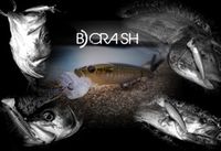 BORASH