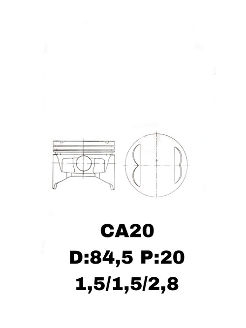 ПОРШНЯ CA20