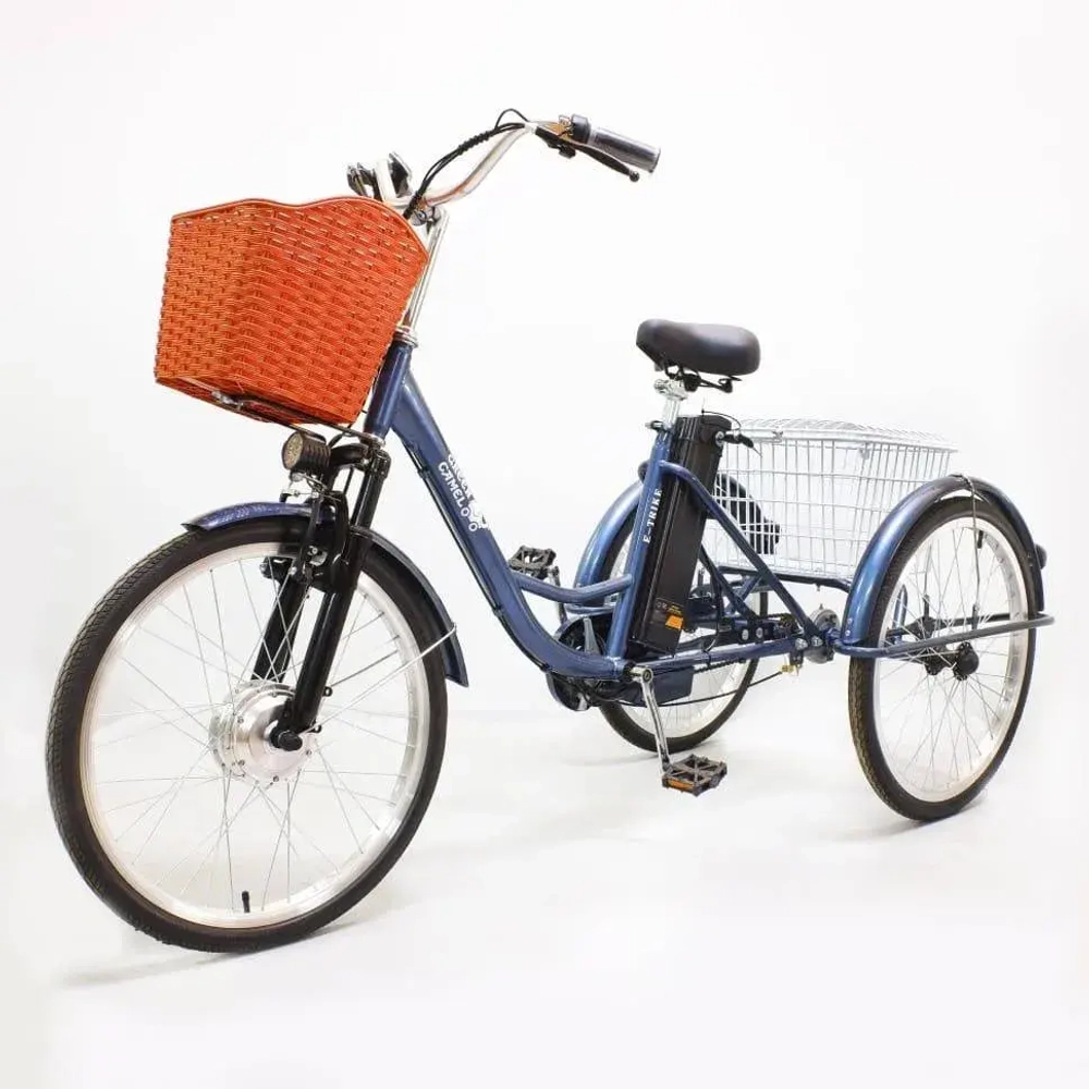 Электровелосипед Green Camel Трайк-24
