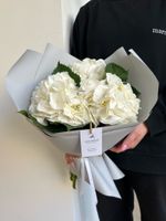 Букет из гортензий в белом оттенке