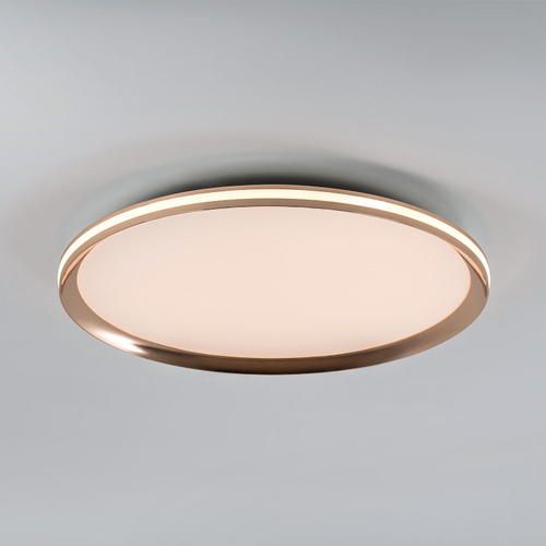Потолочный светодиодный cветильник LED4U L3020-500 GD