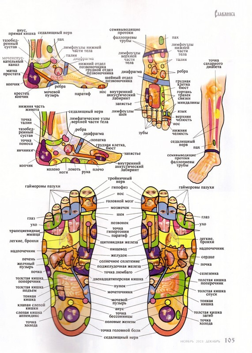 Журнал "Славянка" №6 ноябрь-декабрь 2023 г.