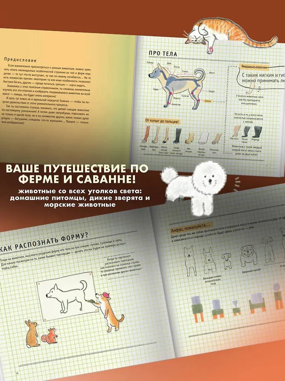Школа рисования для начинающих: милые животные