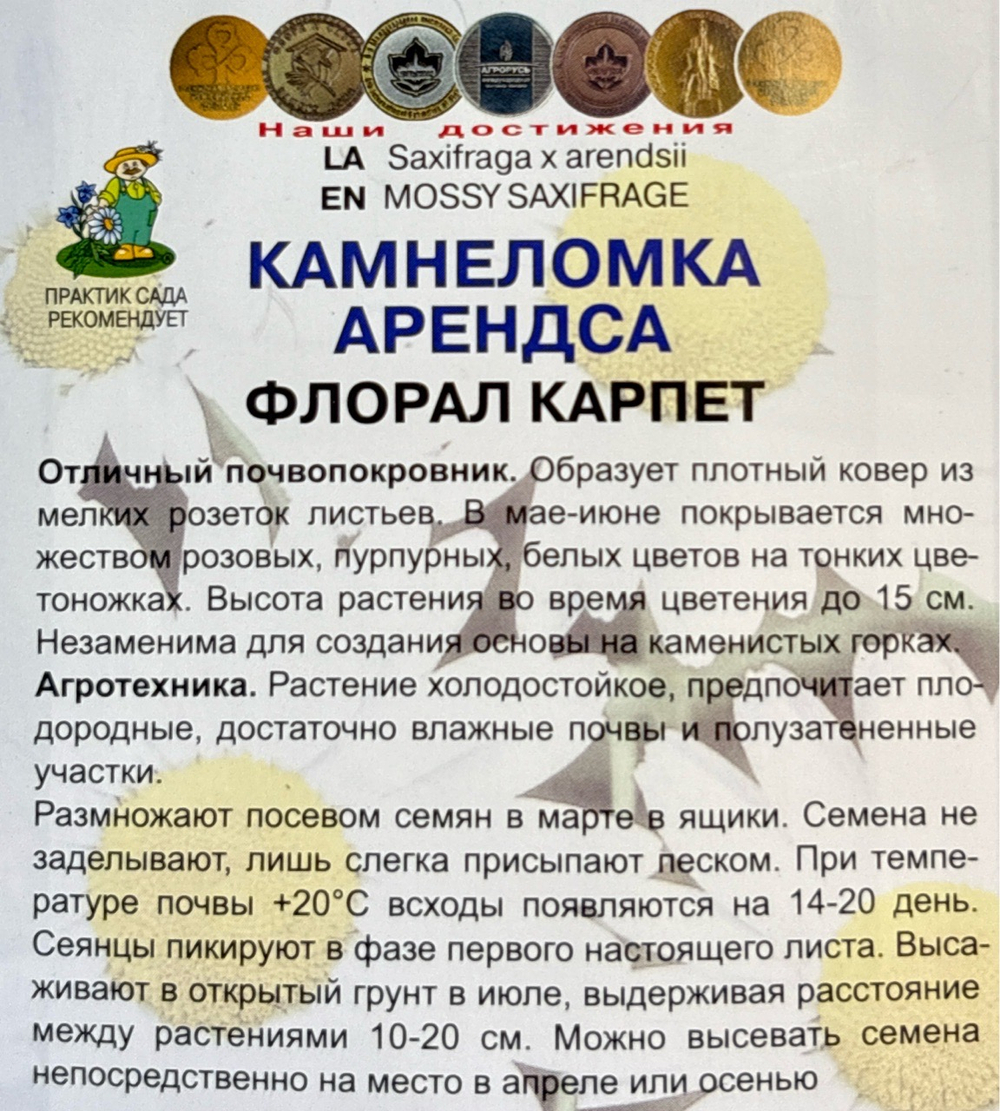 Камнеломка Арендса Флорал Карпет 0,01 г СМЦ-42