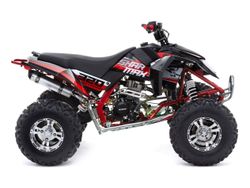 Квадроцикл спортивный  SHARMAX GX-Cruiser 320 (P)