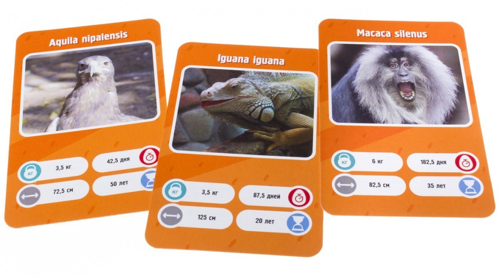 Это Факт! Зоопарк