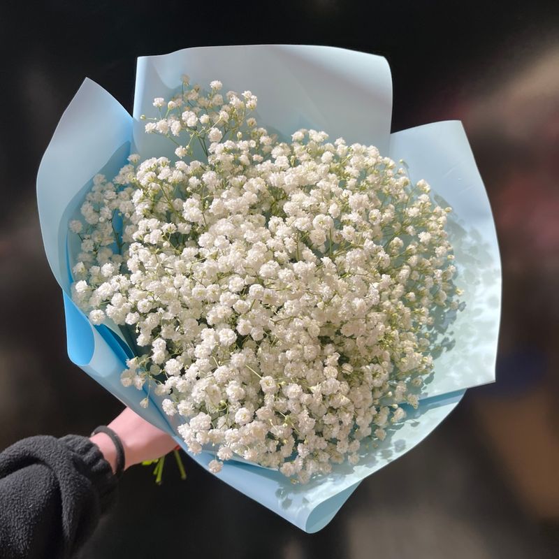 Букет из белоснежных гипсофил (5шт) Букет из белоснежных гипсофил (5шт)