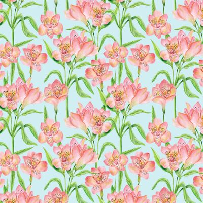 Розовая альстромерия на голубом фоне