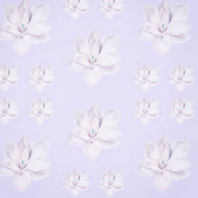 Магнолии на нежном фоне