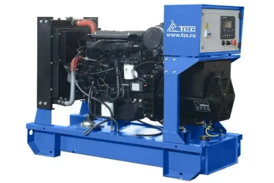 Дизельный генератор (25 кВт) ТСС АД-25С-Т400-1РМ7