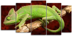 Модульная картина "Хамелеон"