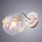 Бра Arte Lamp Alessandra A5004AP-1WG