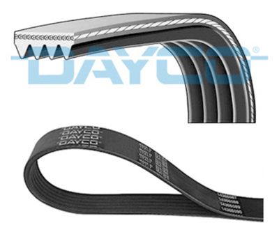 DAYCO - 4PK853-DAY - V-ribbed Belt