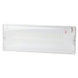 Аварийный светильник светодиодный ЭРА DPA-301-0-65 непостоянный 40LED 3ч IP65 | Светильники аварийные