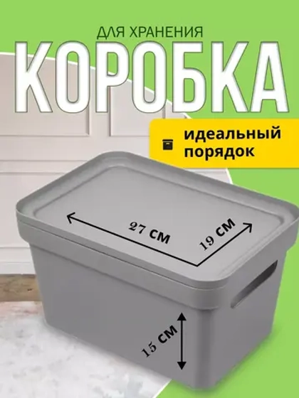 Коробка для хранения вещей Фортуна270х190х150мм Сер
