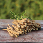 Organic India, Порошок из корня ашваганды, 454 г (16 унций)