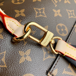 Louis Vuitton Cluny MM