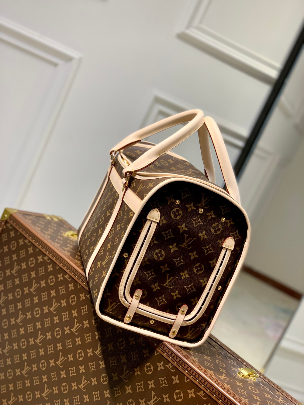 Louis Vuitton Dog Bag 40 cm