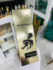 Montale Arabians Tonka