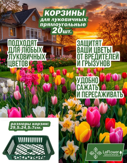 Корзина для луковичных растений, прямоугольная, 20 шт