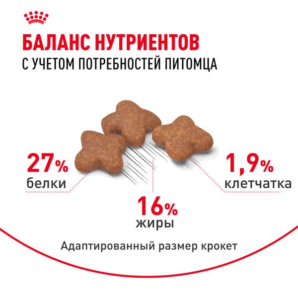 Сухой корм Royal Canin Mini Adult для взрослых собак мелких размеров от 10 месяцев