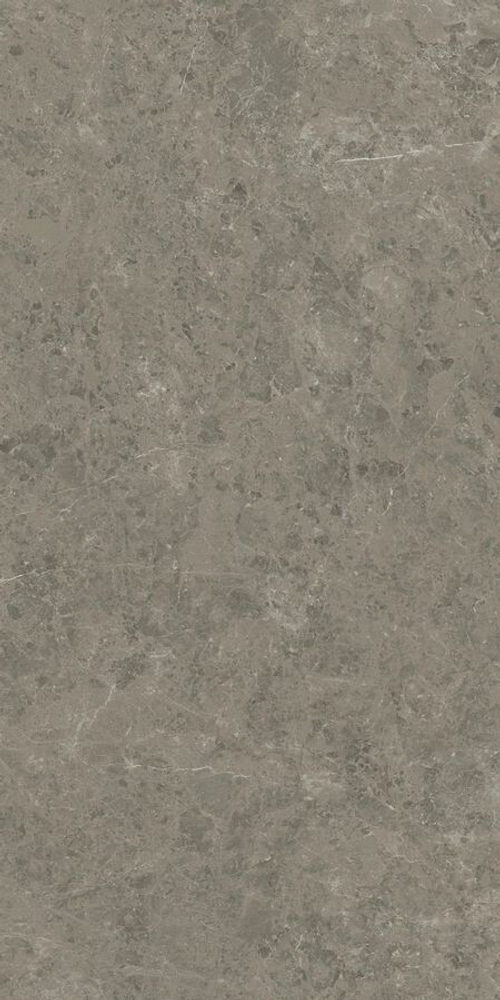 Керамогранит ATLAS CONCORDE MARVEL MERAVIGLIA Grigio Elegante Lappato 9 mm 120x240 AJIA