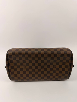 Сумка Louis Vuitton Ribera MM
