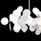 Подвесная люстра Loft IT Matisse 10008/12 White