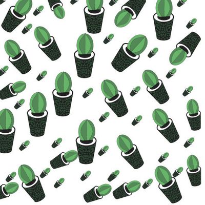 Кактусы в горшке