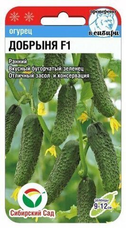 Огурец Добрыня Сибсад
