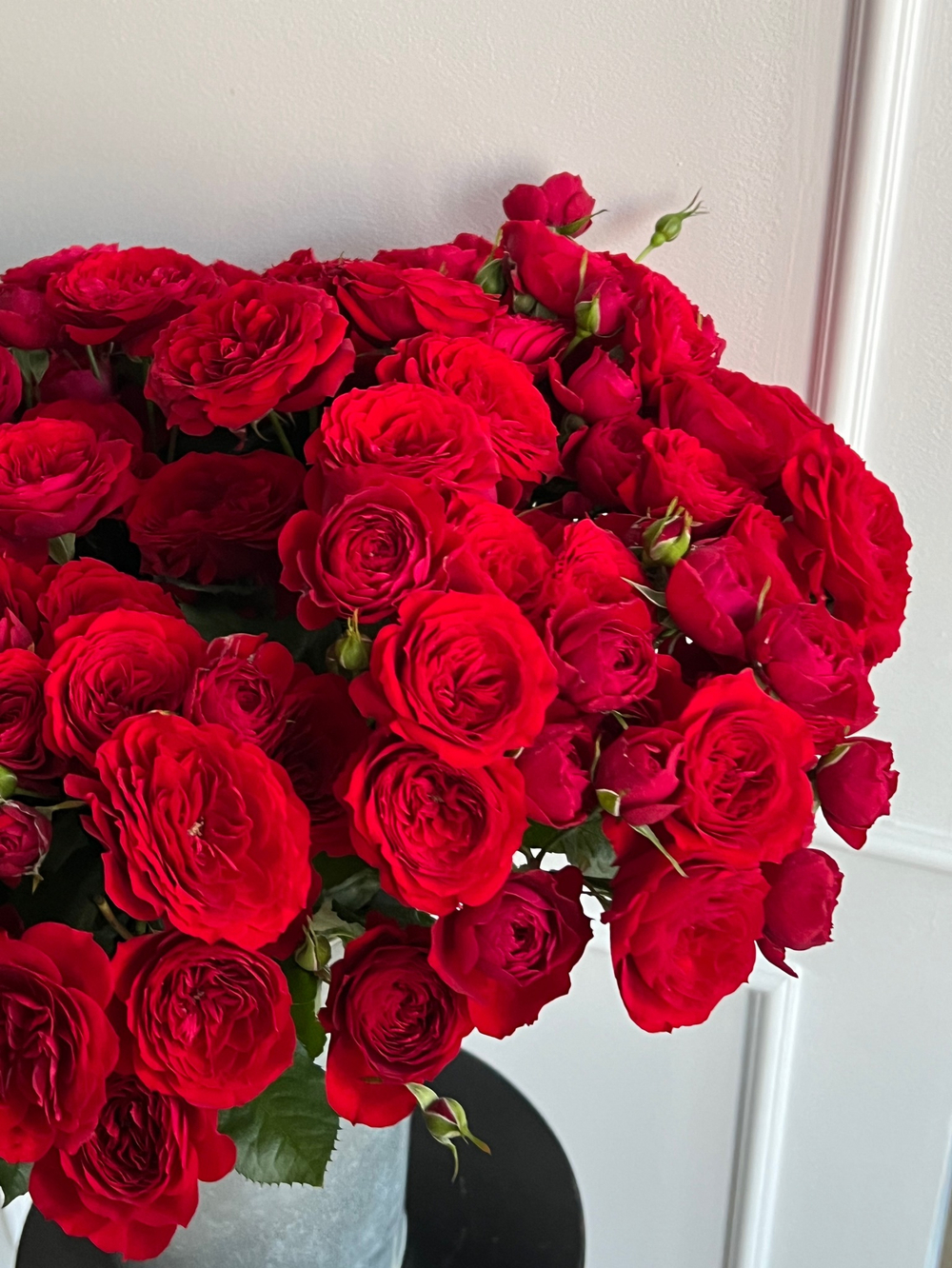 Пионовидная кустовая роза в красном оттенке