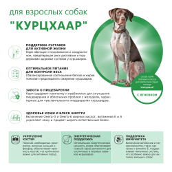 Корм сухой для взрослых собак породы Курцхаар, с ягненком, 12 кг, QUATTRO