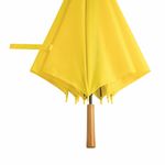 Автоматический зонт-трость LIMBO