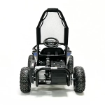 Багги Green Camel Намиб T006 (48V 1000W R6 Цепь) аморт