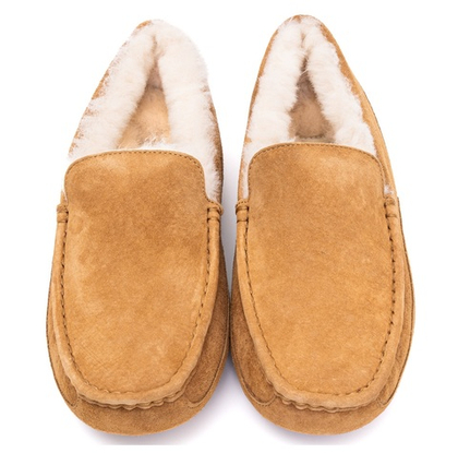 UGG Mens Ascot Chestnut